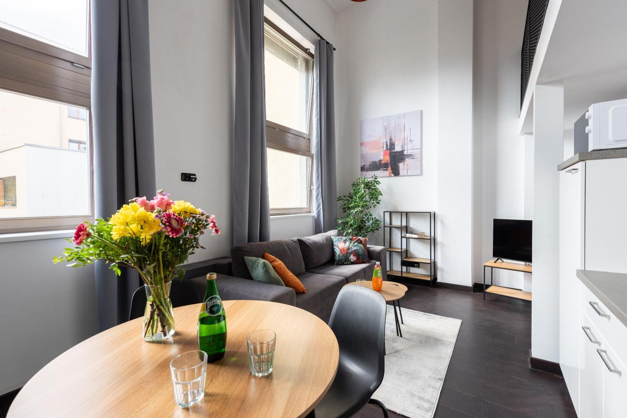 Loft Spacious In Apartamento Praga